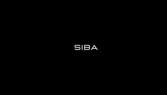 Salif-Sibane-–-Siba-Ecom-Mastermind-9-Figure-Ecom-Creatives-Funnels-Mastermind.jpg